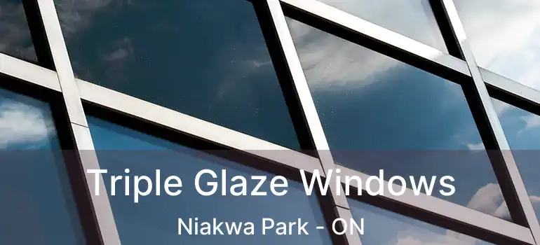  Triple Glaze Windows Niakwa Park - ON