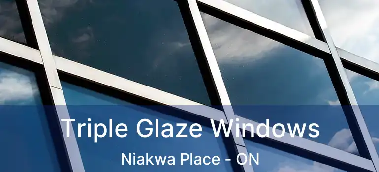  Triple Glaze Windows Niakwa Place - ON