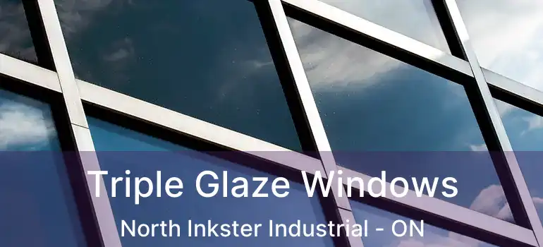  Triple Glaze Windows North Inkster Industrial - ON