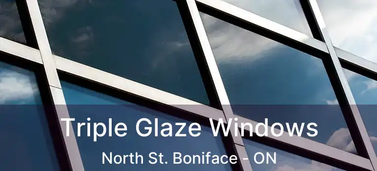  Triple Glaze Windows North St. Boniface - ON