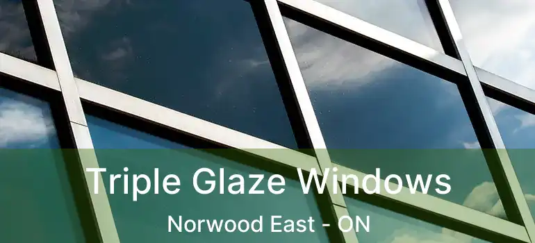  Triple Glaze Windows Norwood East - ON