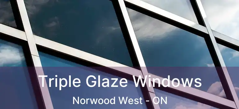  Triple Glaze Windows Norwood West - ON