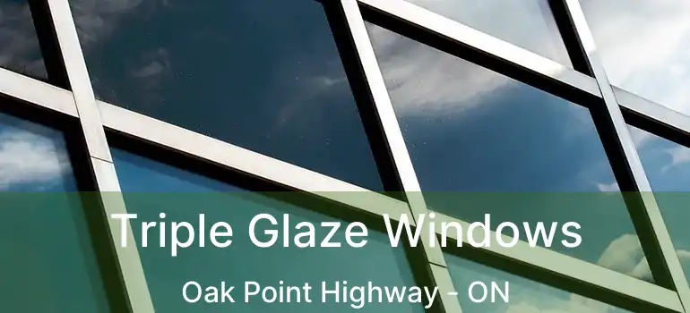  Triple Glaze Windows Oak Point Highway - ON