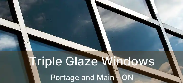  Triple Glaze Windows Portage and Main - ON