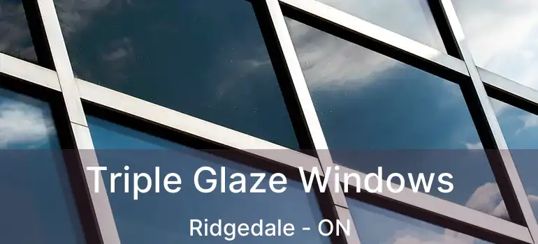  Triple Glaze Windows Ridgedale - ON