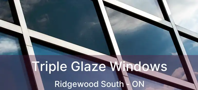  Triple Glaze Windows Ridgewood South - ON