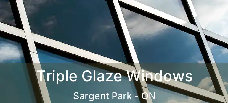  Triple Glaze Windows Sargent Park - ON