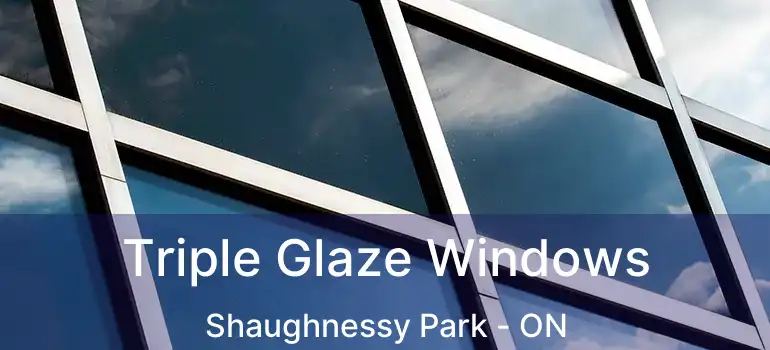  Triple Glaze Windows Shaughnessy Park - ON