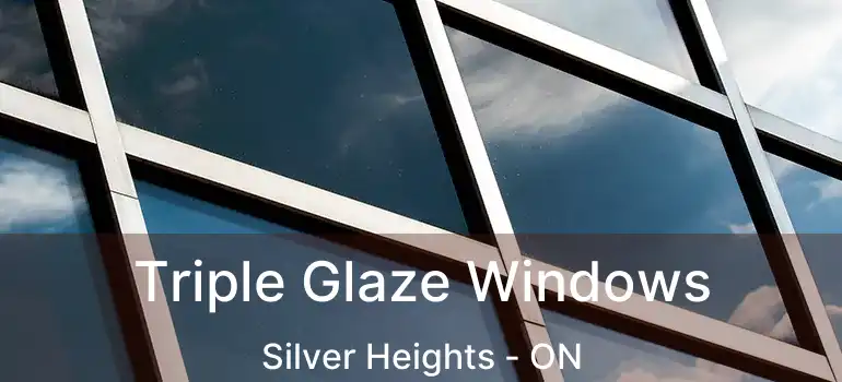  Triple Glaze Windows Silver Heights - ON