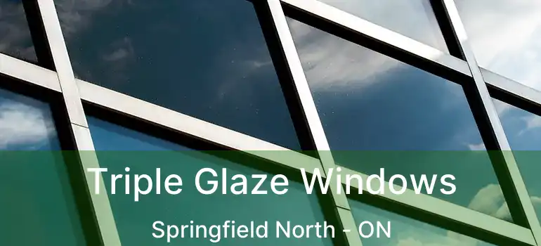  Triple Glaze Windows Springfield North - ON