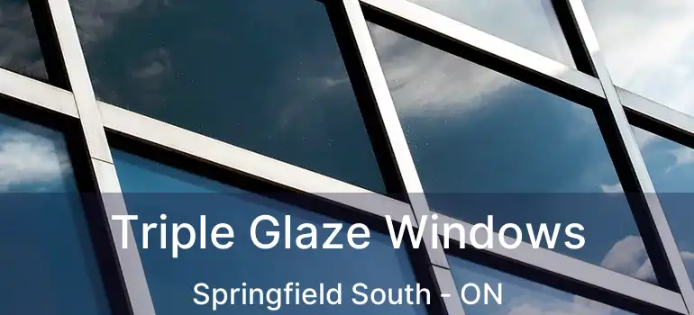  Triple Glaze Windows Springfield South - ON