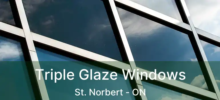  Triple Glaze Windows St. Norbert - ON