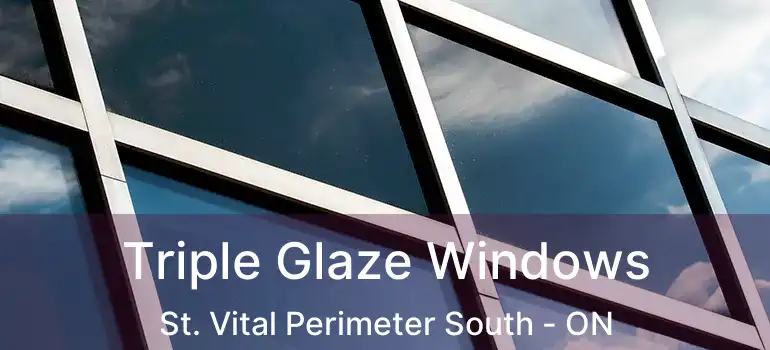  Triple Glaze Windows St. Vital Perimeter South - ON