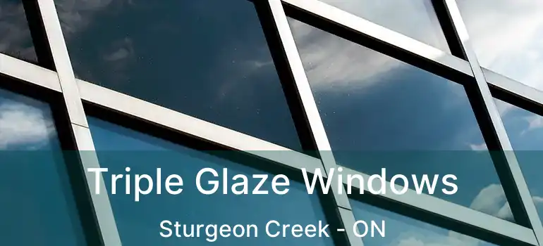  Triple Glaze Windows Sturgeon Creek - ON