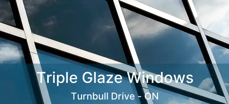  Triple Glaze Windows Turnbull Drive - ON