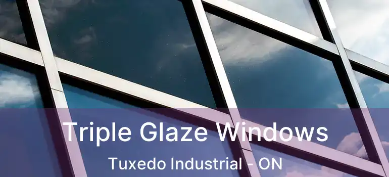  Triple Glaze Windows Tuxedo Industrial - ON