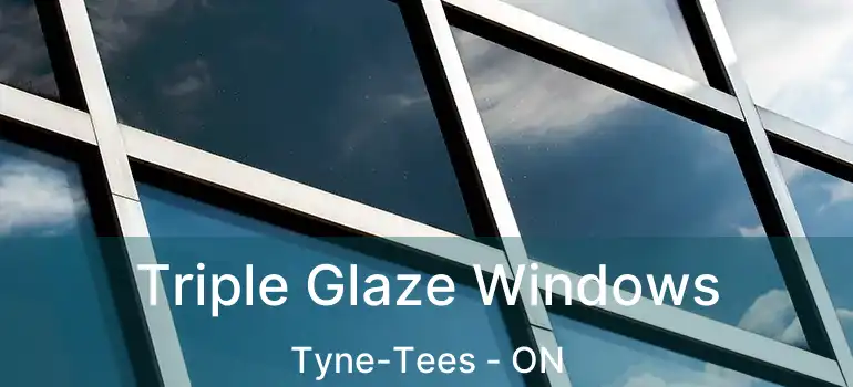  Triple Glaze Windows Tyne-Tees - ON