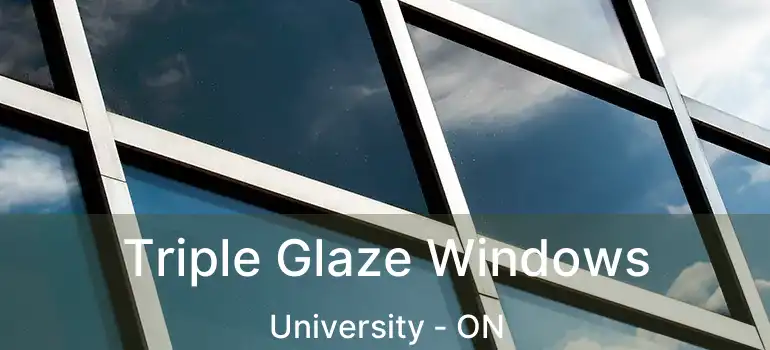  Triple Glaze Windows University - ON