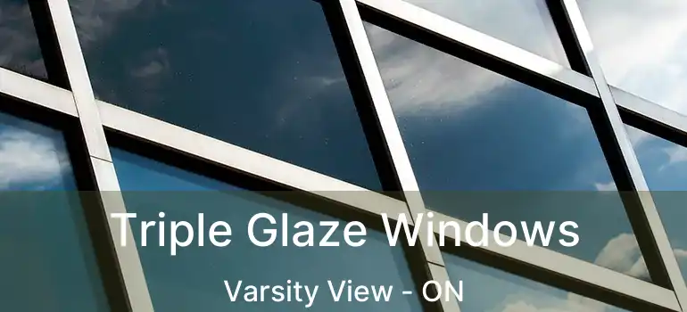  Triple Glaze Windows Varsity View - ON