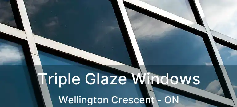  Triple Glaze Windows Wellington Crescent - ON