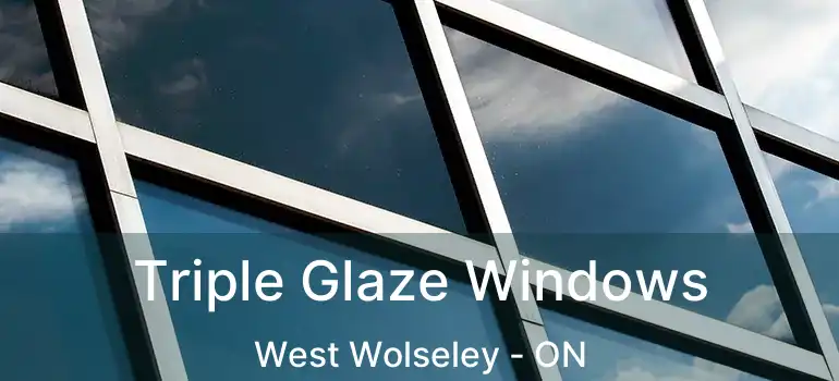  Triple Glaze Windows West Wolseley - ON