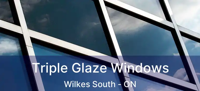  Triple Glaze Windows Wilkes South - ON