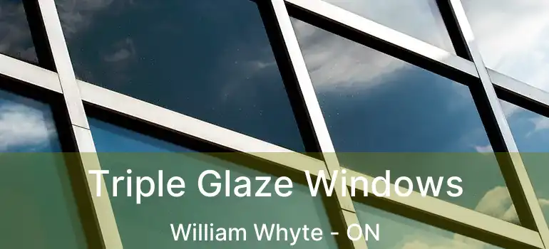  Triple Glaze Windows William Whyte - ON