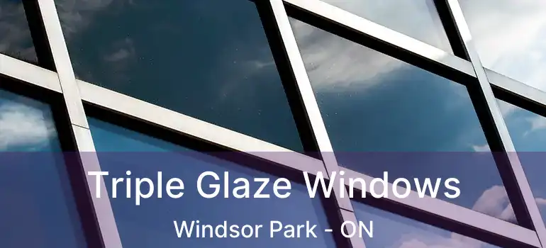  Triple Glaze Windows Windsor Park - ON