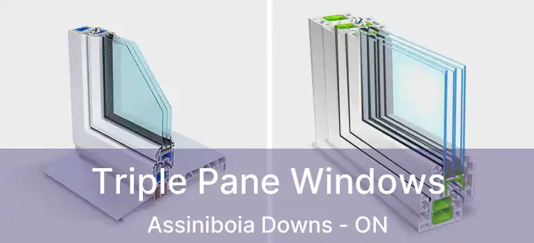  Triple Pane Windows Assiniboia Downs - ON