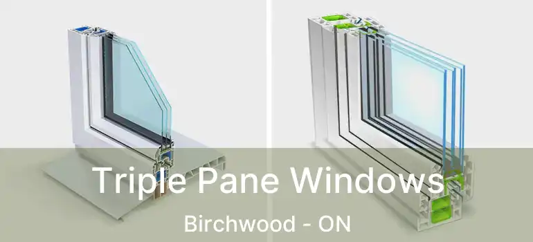  Triple Pane Windows Birchwood - ON