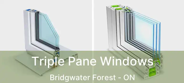  Triple Pane Windows Bridgwater Forest - ON