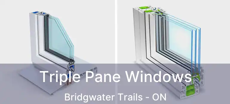  Triple Pane Windows Bridgwater Trails - ON