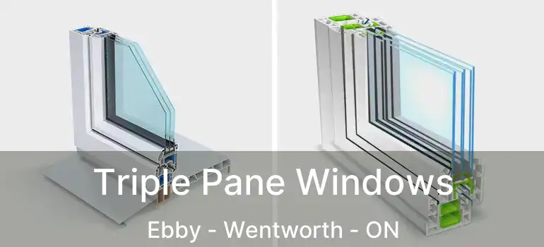  Triple Pane Windows Ebby - Wentworth - ON