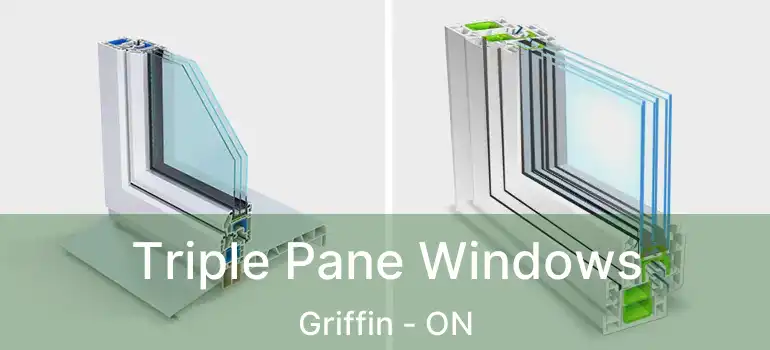  Triple Pane Windows Griffin - ON
