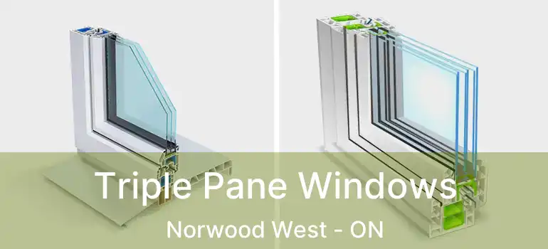  Triple Pane Windows Norwood West - ON