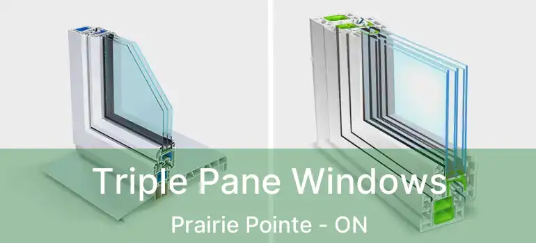  Triple Pane Windows Prairie Pointe - ON