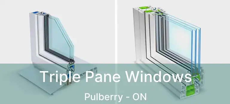  Triple Pane Windows Pulberry - ON