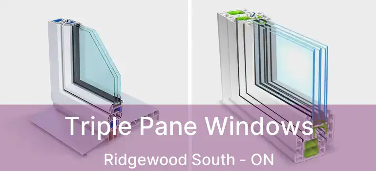  Triple Pane Windows Ridgewood South - ON