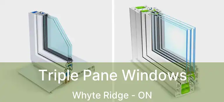  Triple Pane Windows Whyte Ridge - ON