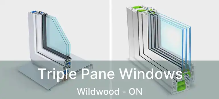  Triple Pane Windows Wildwood - ON