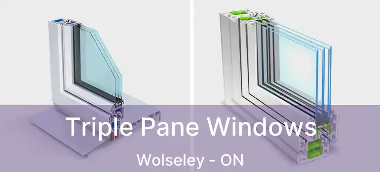  Triple Pane Windows Wolseley - ON
