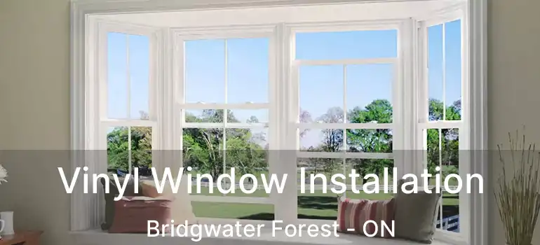  Vinyl Window Installation Bridgwater Forest - ON