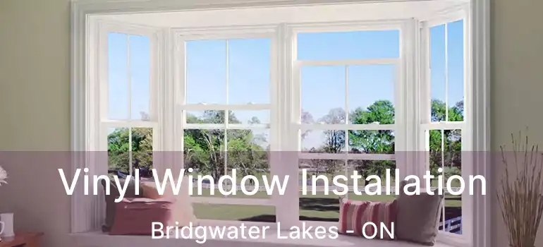  Vinyl Window Installation Bridgwater Lakes - ON