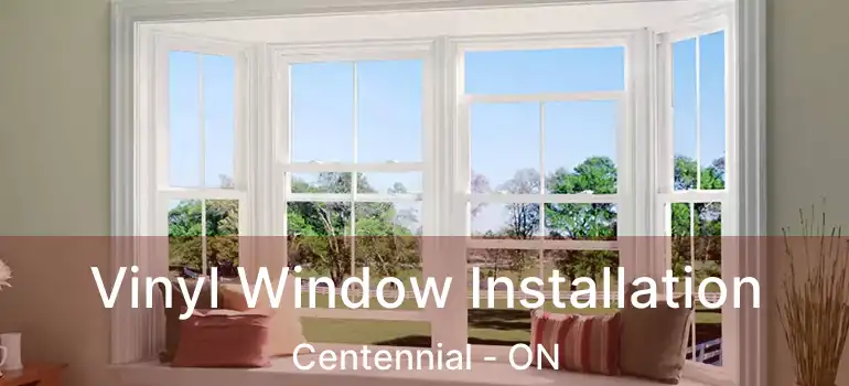  Vinyl Window Installation Centennial - ON