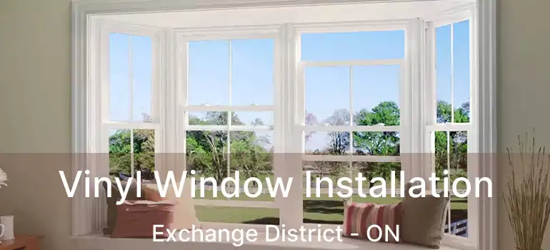  Vinyl Window Installation Exchange District - ON