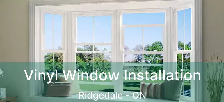  Vinyl Window Installation Ridgedale - ON