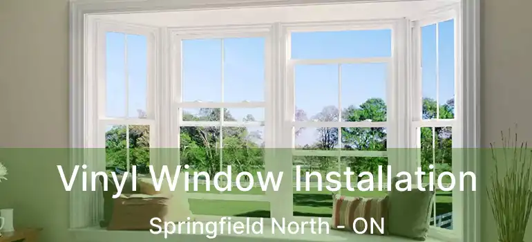  Vinyl Window Installation Springfield North - ON