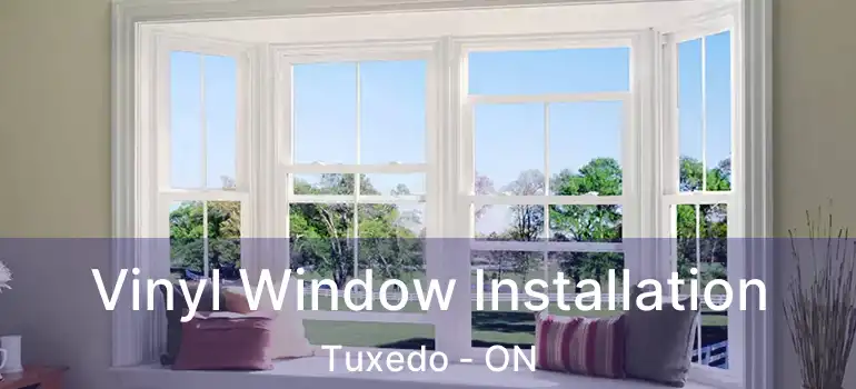  Vinyl Window Installation Tuxedo - ON