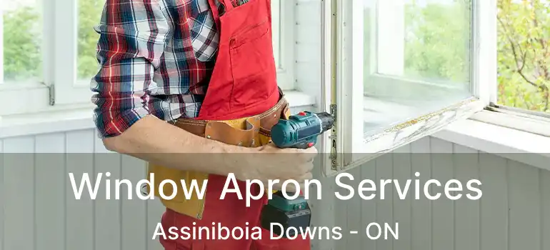  Window Apron Services Assiniboia Downs - ON