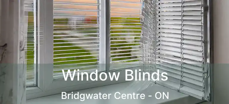  Window Blinds Bridgwater Centre - ON